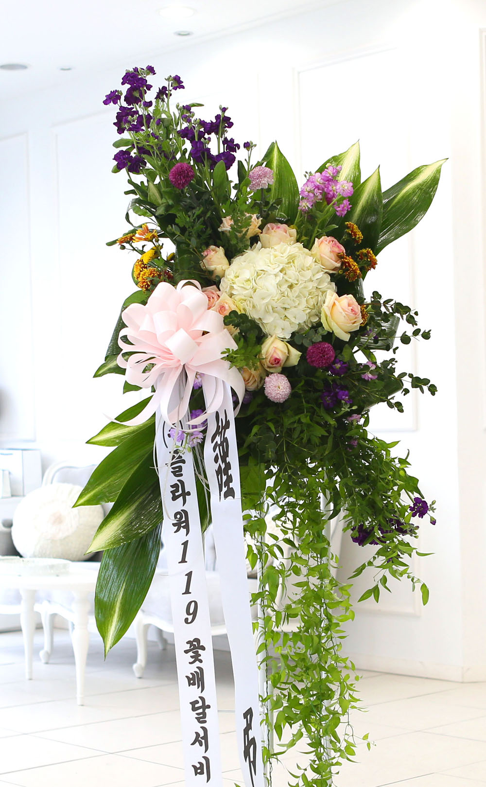 ǰִ   ȭȯ - ﰡ   ϴ  ɹ