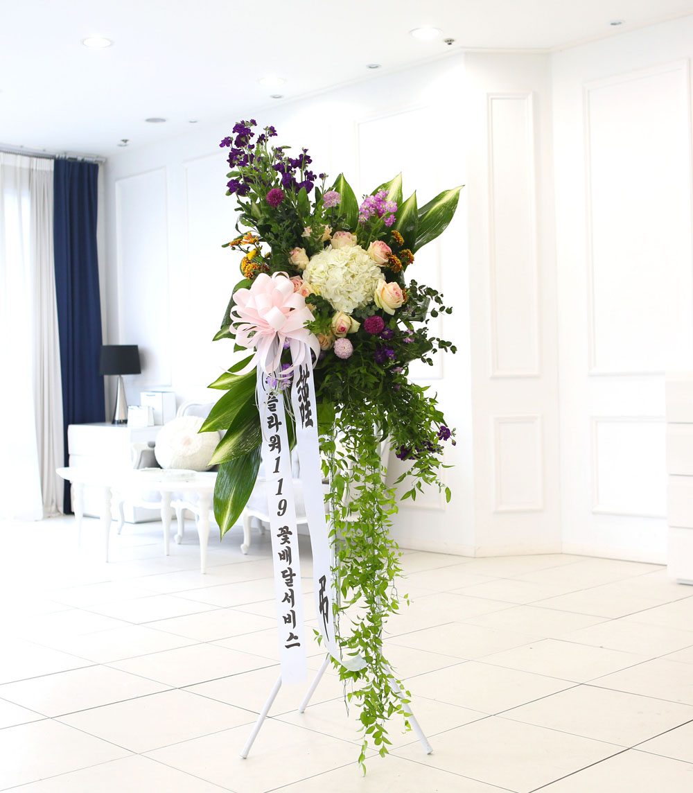 ǰִ   ȭȯ - ﰡ   ϴ  ɹ