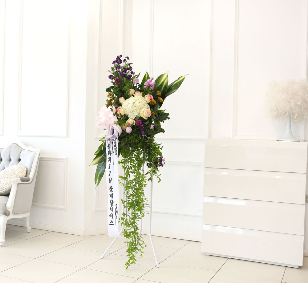 ǰִ   ȭȯ - ﰡ   ϴ  ɹ