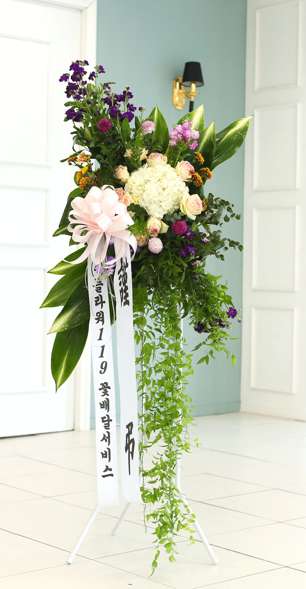 ǰִ   ȭȯ - ﰡ   ϴ  ɹ