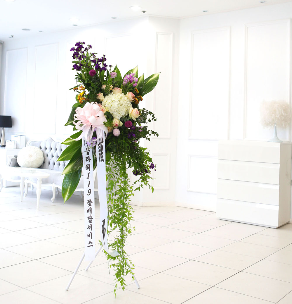 ǰִ   ȭȯ - ﰡ   ϴ  ɹ