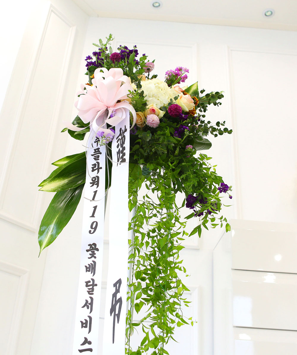 ǰִ   ȭȯ - ﰡ   ϴ  ɹ