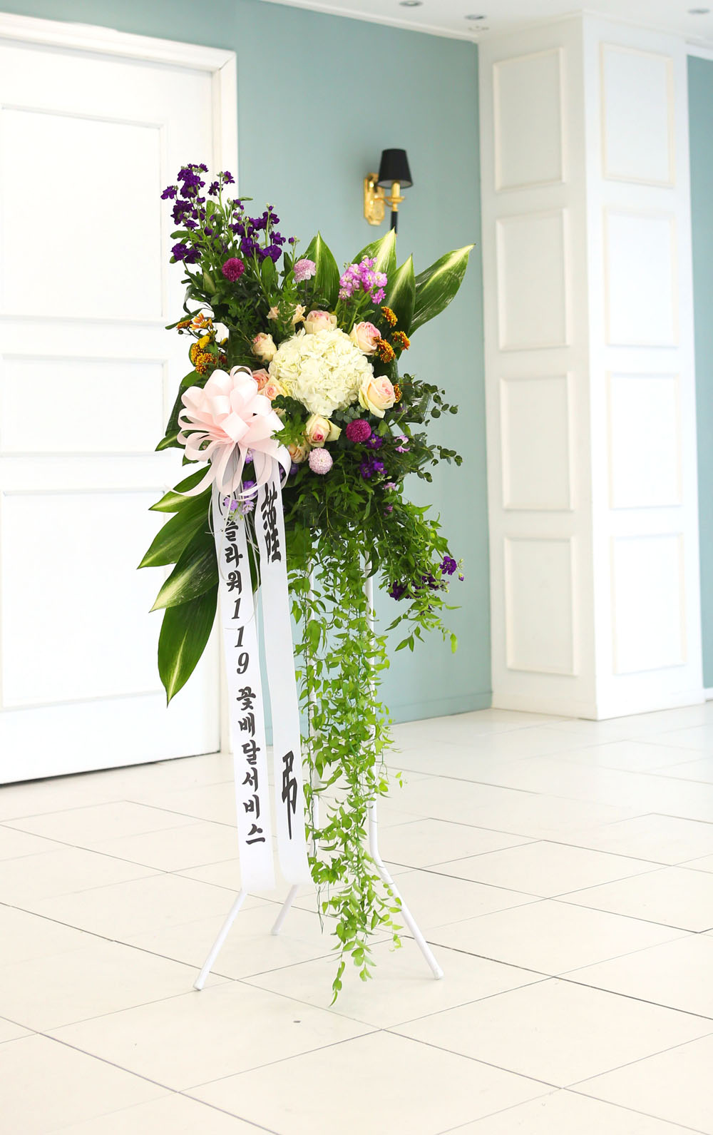 ǰִ   ȭȯ - ﰡ   ϴ  ɹ