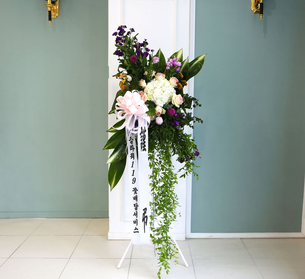 ǰִ   ȭȯ - ﰡ   ϴ  ɹ