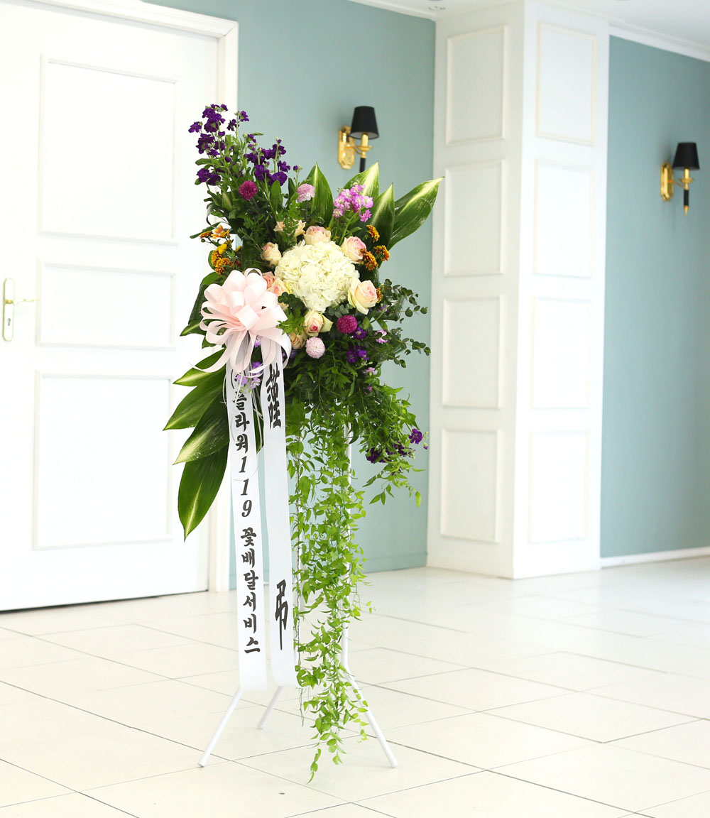 ǰִ   ȭȯ - ﰡ   ϴ  ɹ