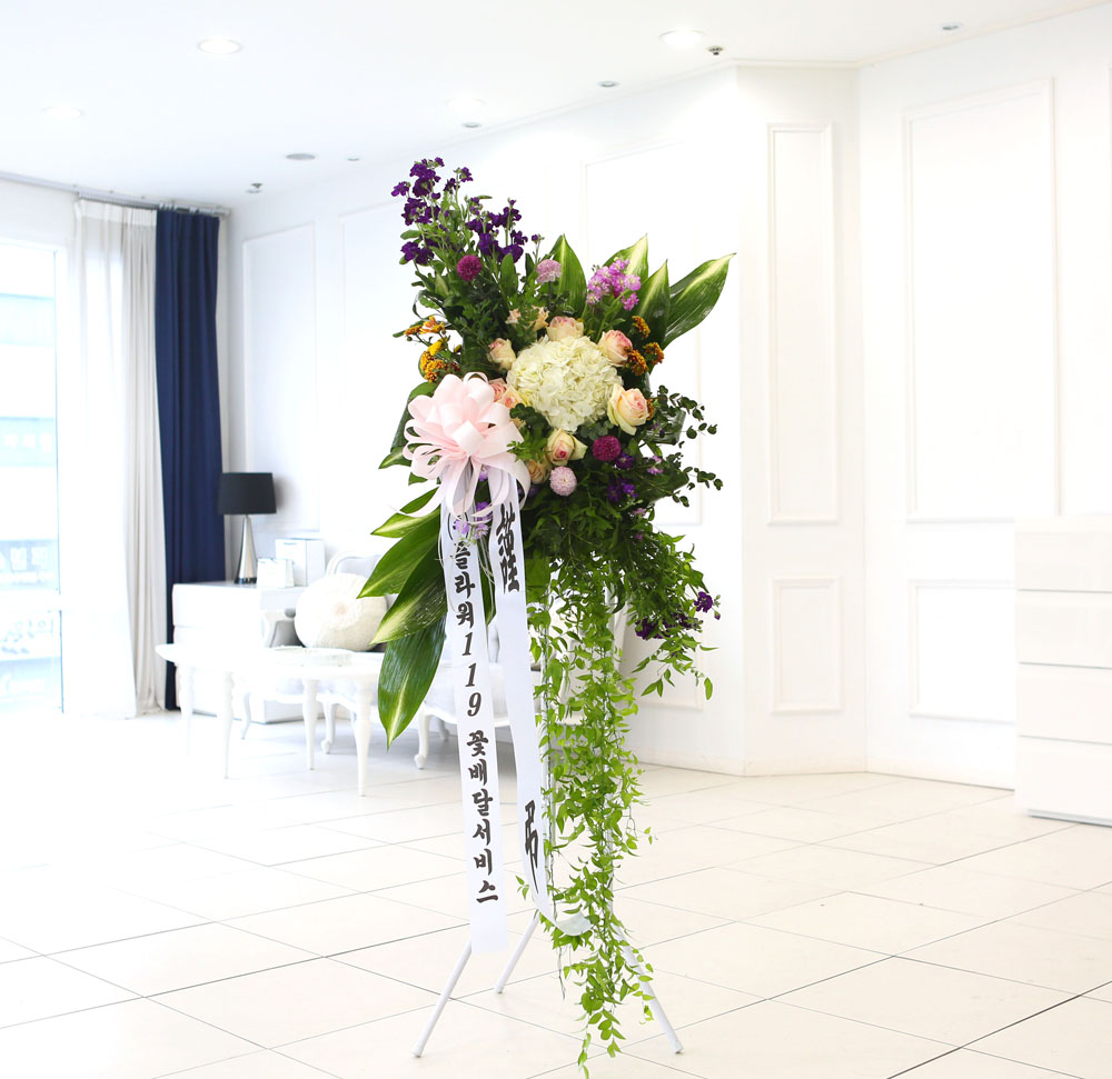 ǰִ   ȭȯ - ﰡ   ϴ  ɹ