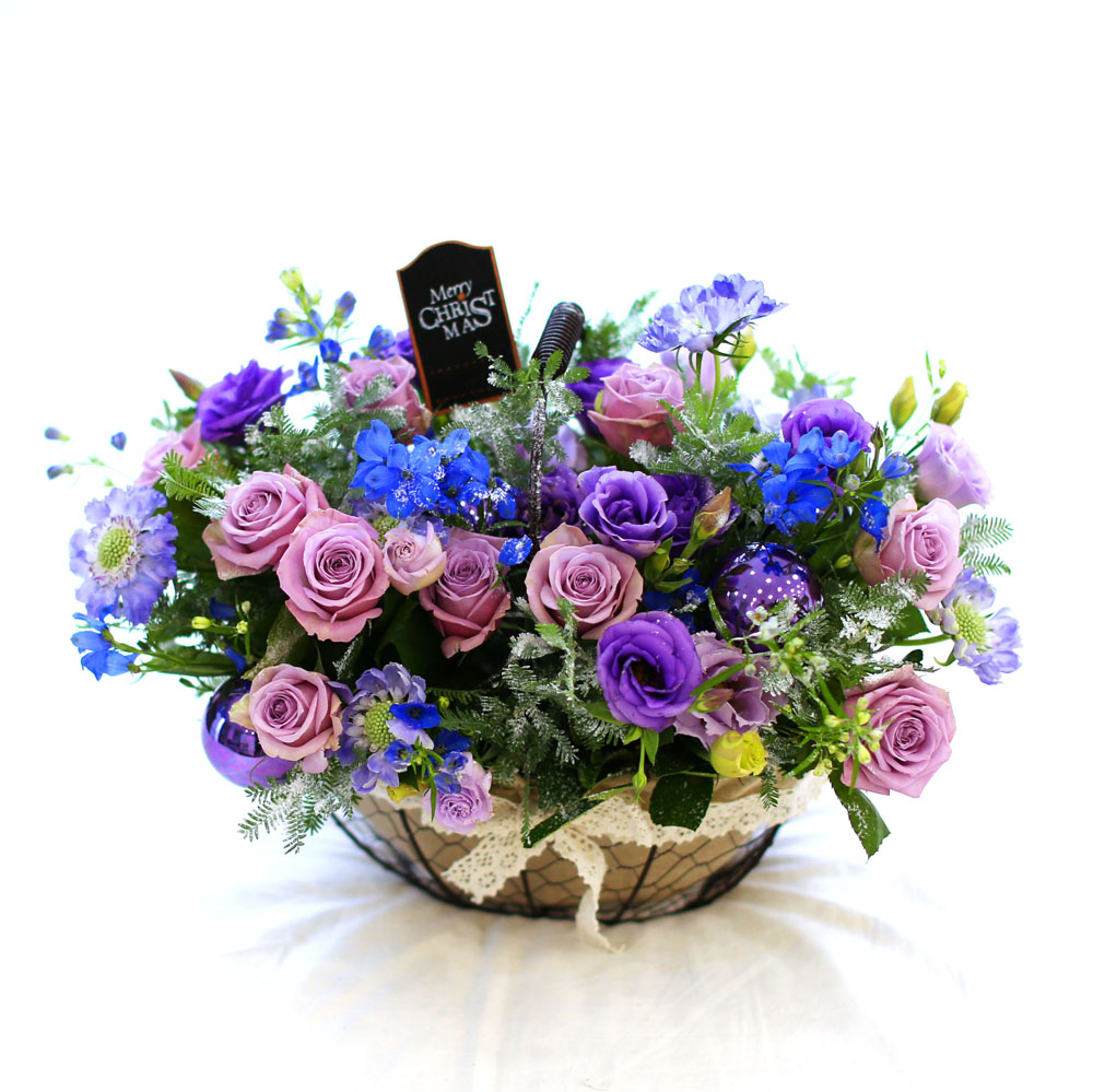 Merry Merry Christmas!!!  -   ɹ