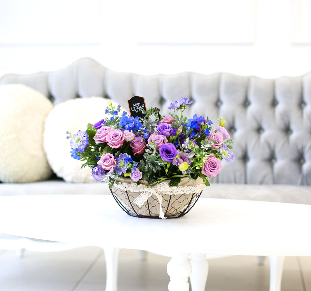 Merry Merry Christmas!!!  -   ɹ