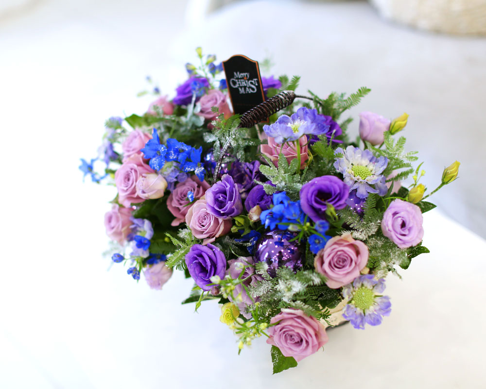 Merry Merry Christmas!!!  -   ɹ