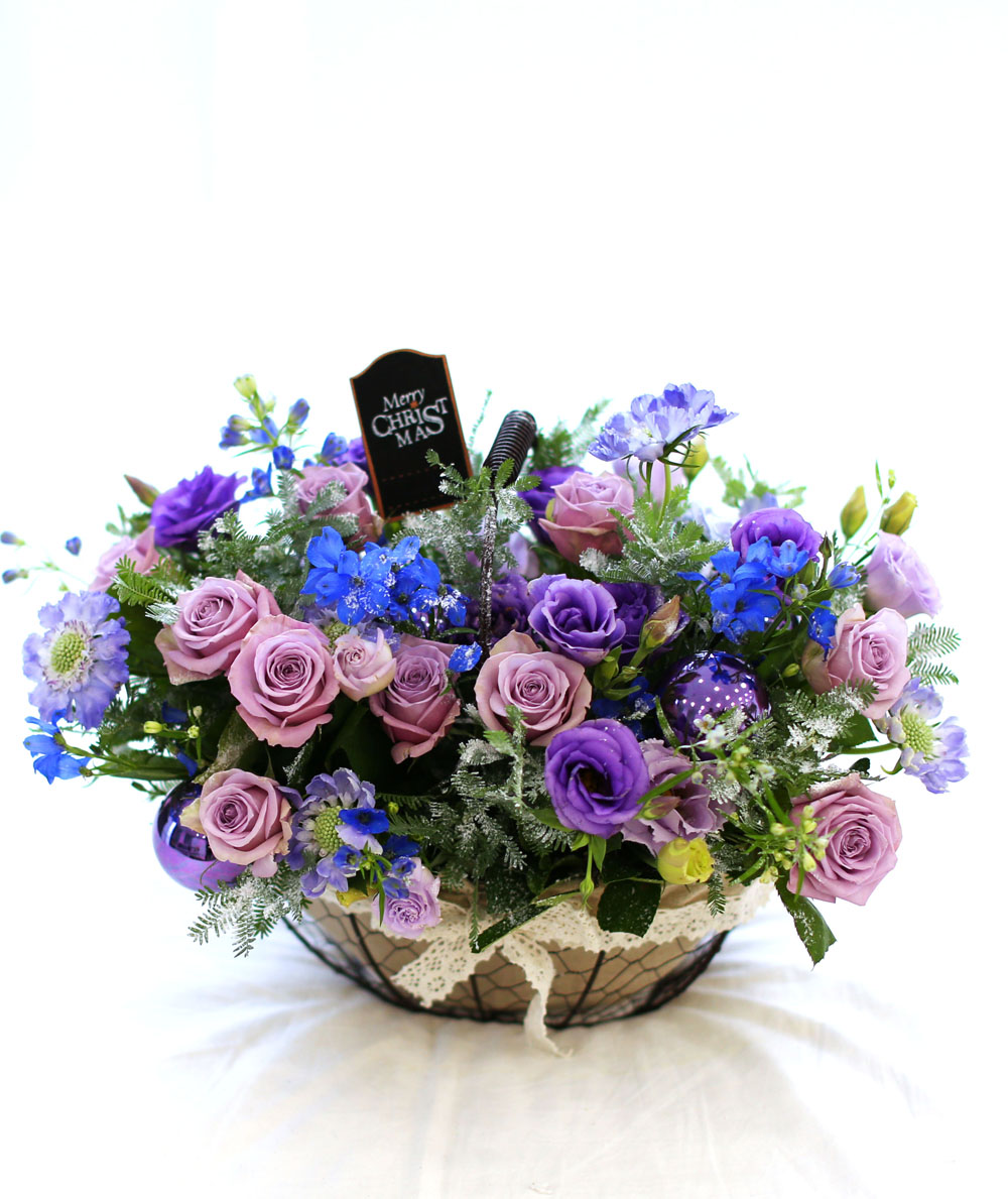 Merry Merry Christmas!!!  -   ɹ