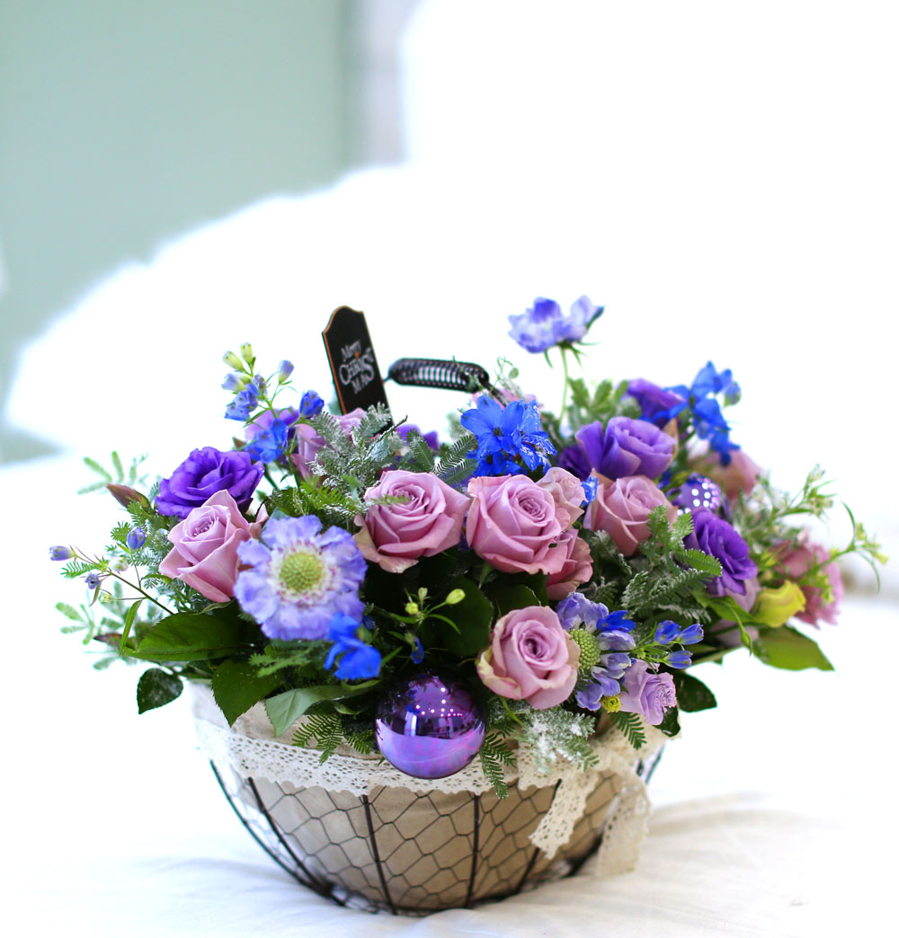 Merry Merry Christmas!!!  -   ɹ