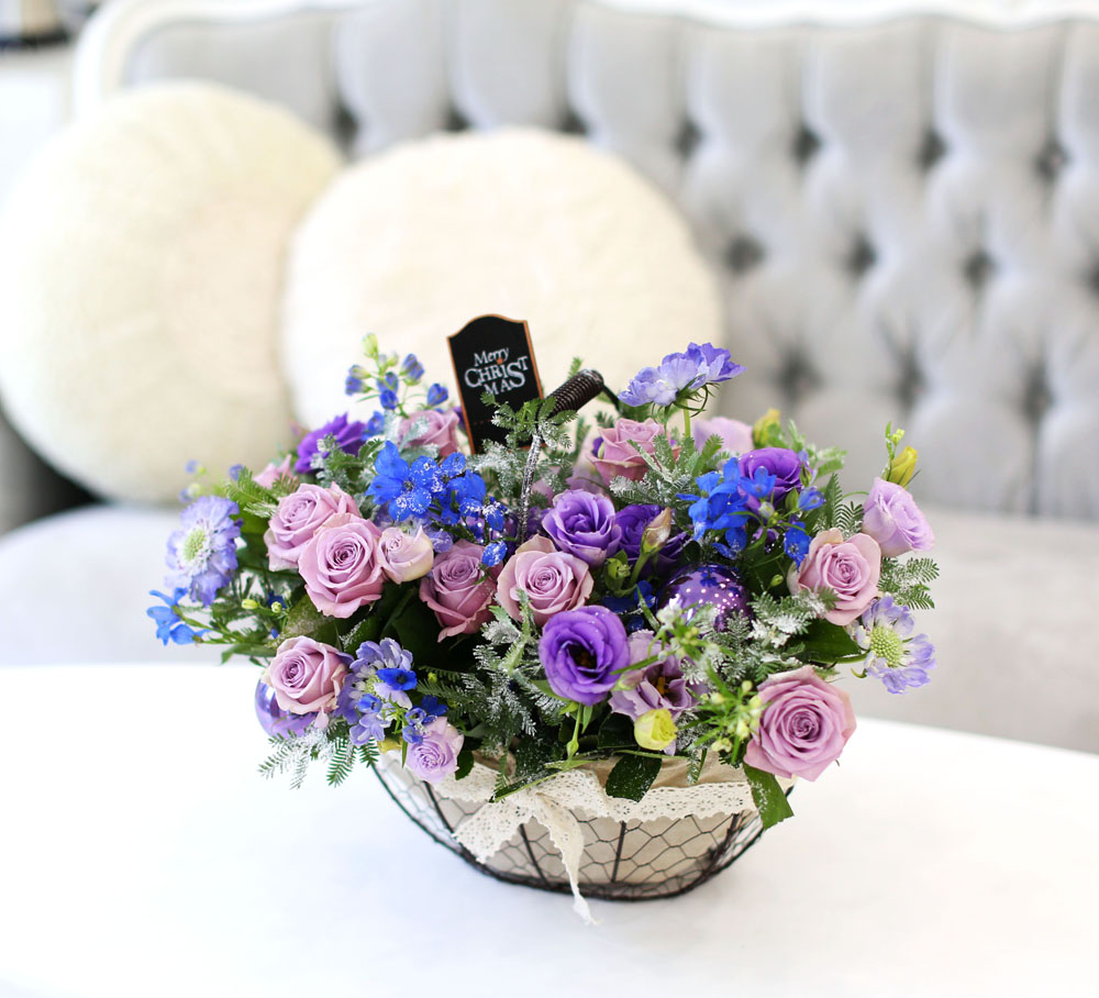 Merry Merry Christmas!!!  -   ɹ