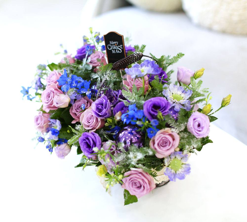 Merry Merry Christmas!!!  -   ɹ