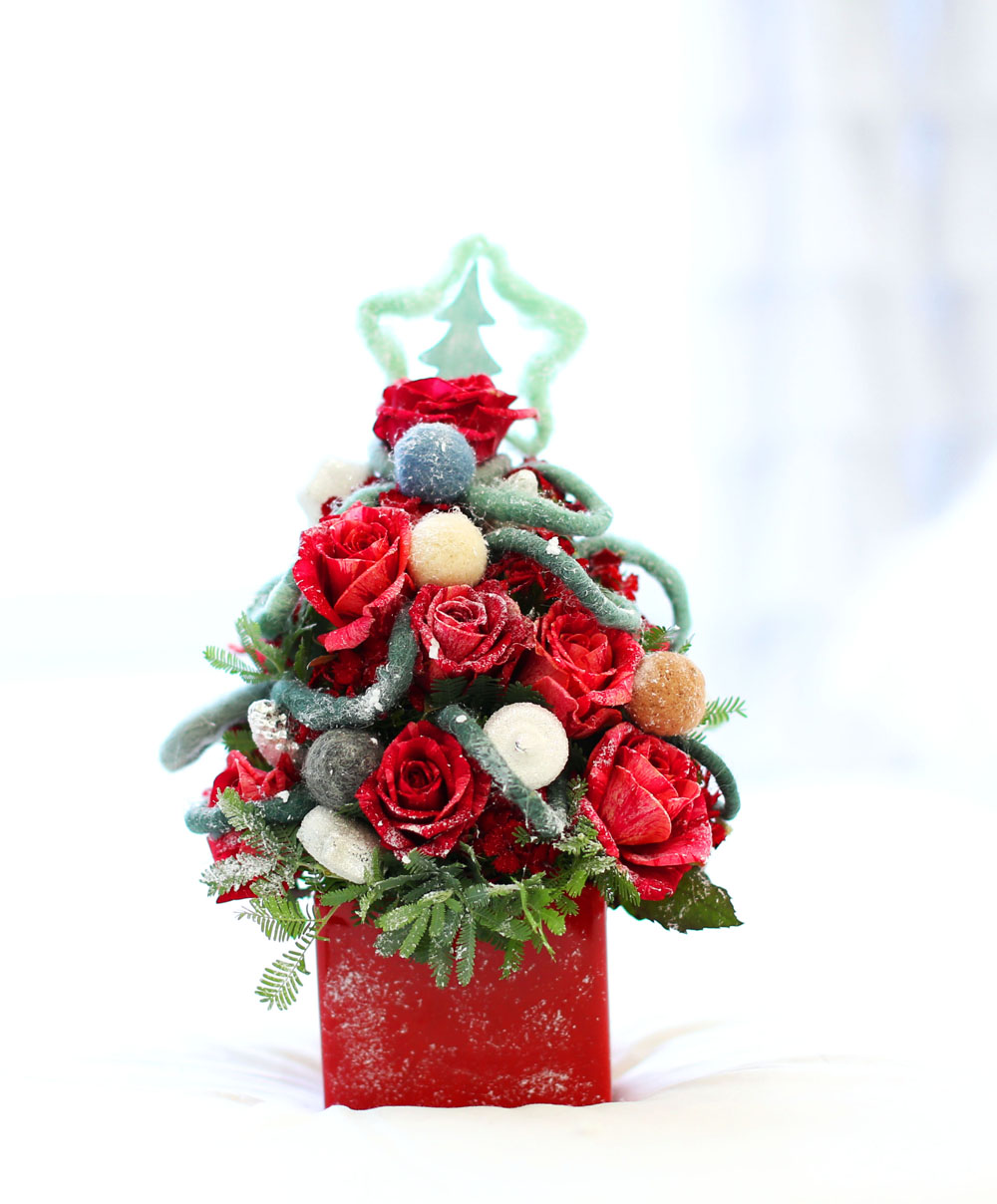 [] Merry Merry Christmas!!!  -  ũ Ʈ