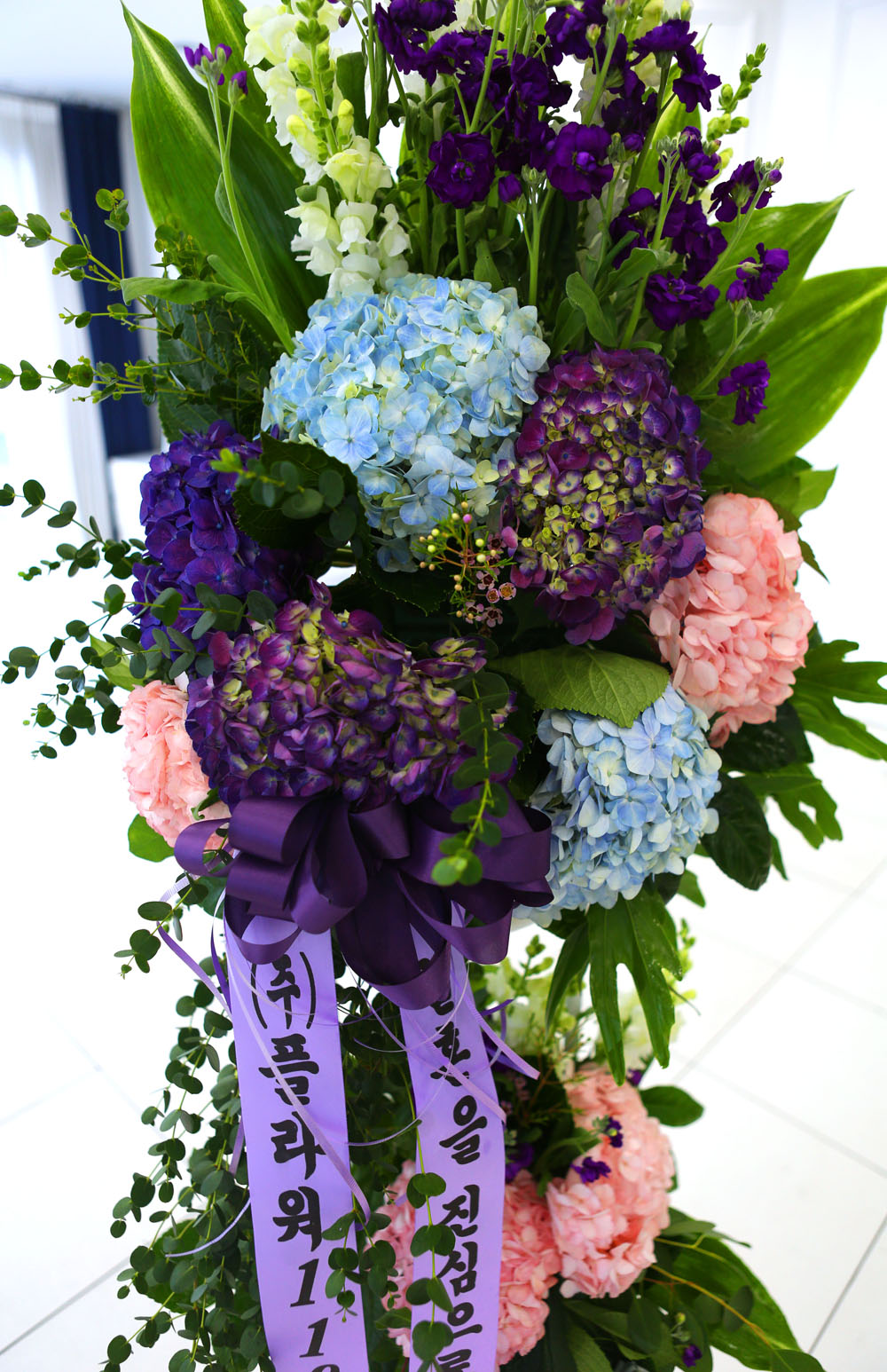 °áÈ¥½ÄÀ» ºû³»Áִ ǰ°ÝÀÖ´Â ¿ÀºêÁ¦ ÃàÇÏÈȯ - ¼·Î Á¸ÁßÇÏ°í ´õ ¸¹ÀÌ »ç¶ûÇÏ´Â ºÎºÎ°¡ µÇ±â ¹Ù¶ø´Ï´Ù