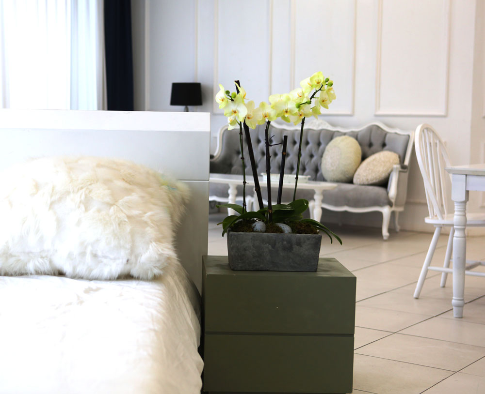 Living with flowers everyday - Newyork style Orchid Æ÷Ãá ²ÉÁý ²É¹è´Þ