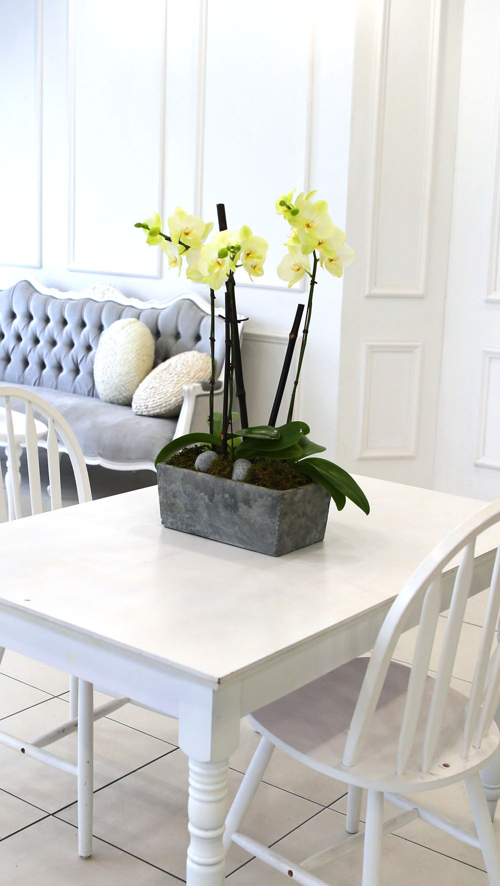 Living with flowers everyday - Newyork style Orchid Æ÷Ãá ²ÉÁý ²É¹è´Þ