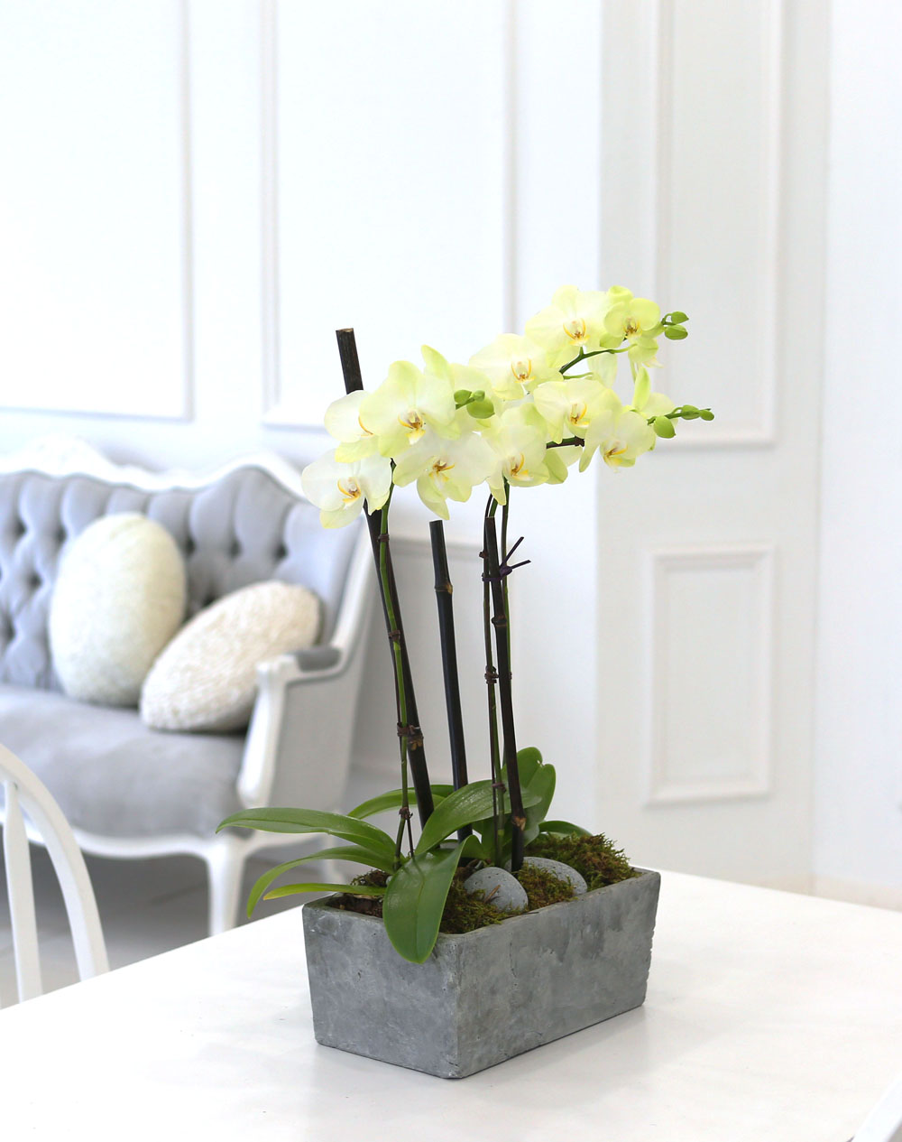 Living with flowers everyday - Newyork style Orchid Æ÷Ãá ²ÉÁý ²É¹è´Þ