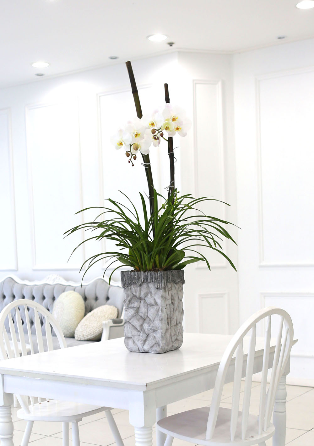 Living with flowers everyday - Newyork style Orchid ½ºÇÁ¸µÆÄ·ç¿Í ÈÀÌÆ®È£Á¢