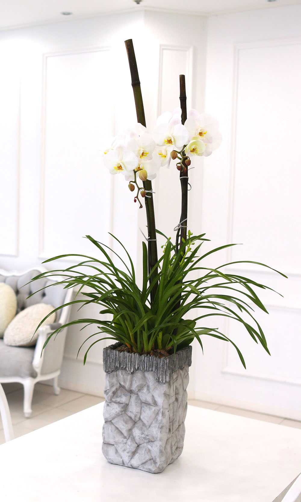Living with flowers everyday - Newyork style Orchid ½ºÇÁ¸µÆÄ·ç¿Í ÈÀÌÆ®È£Á¢