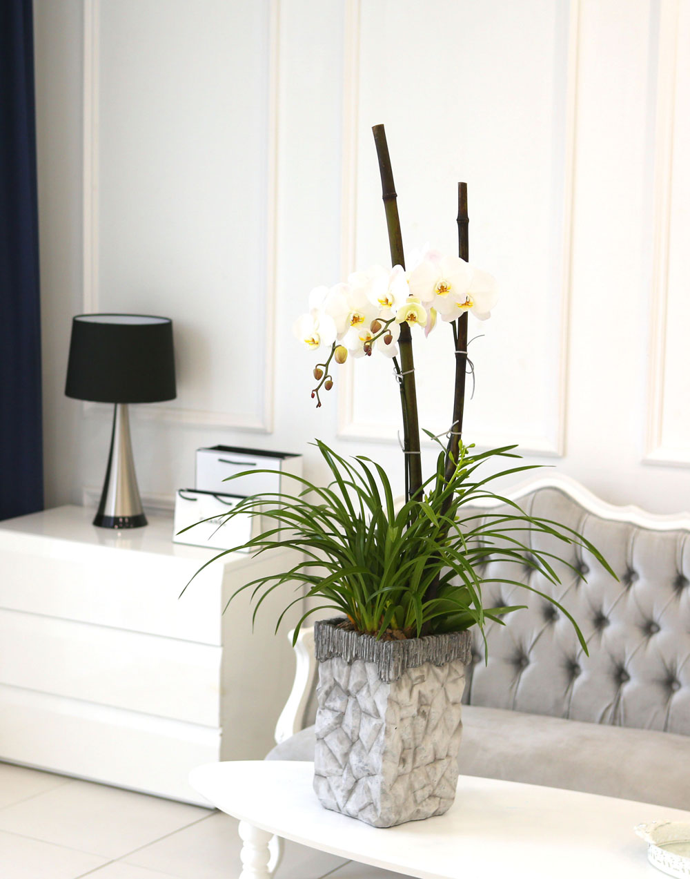 Living with flowers everyday - Newyork style Orchid ½ºÇÁ¸µÆÄ·ç¿Í ÈÀÌÆ®È£Á¢