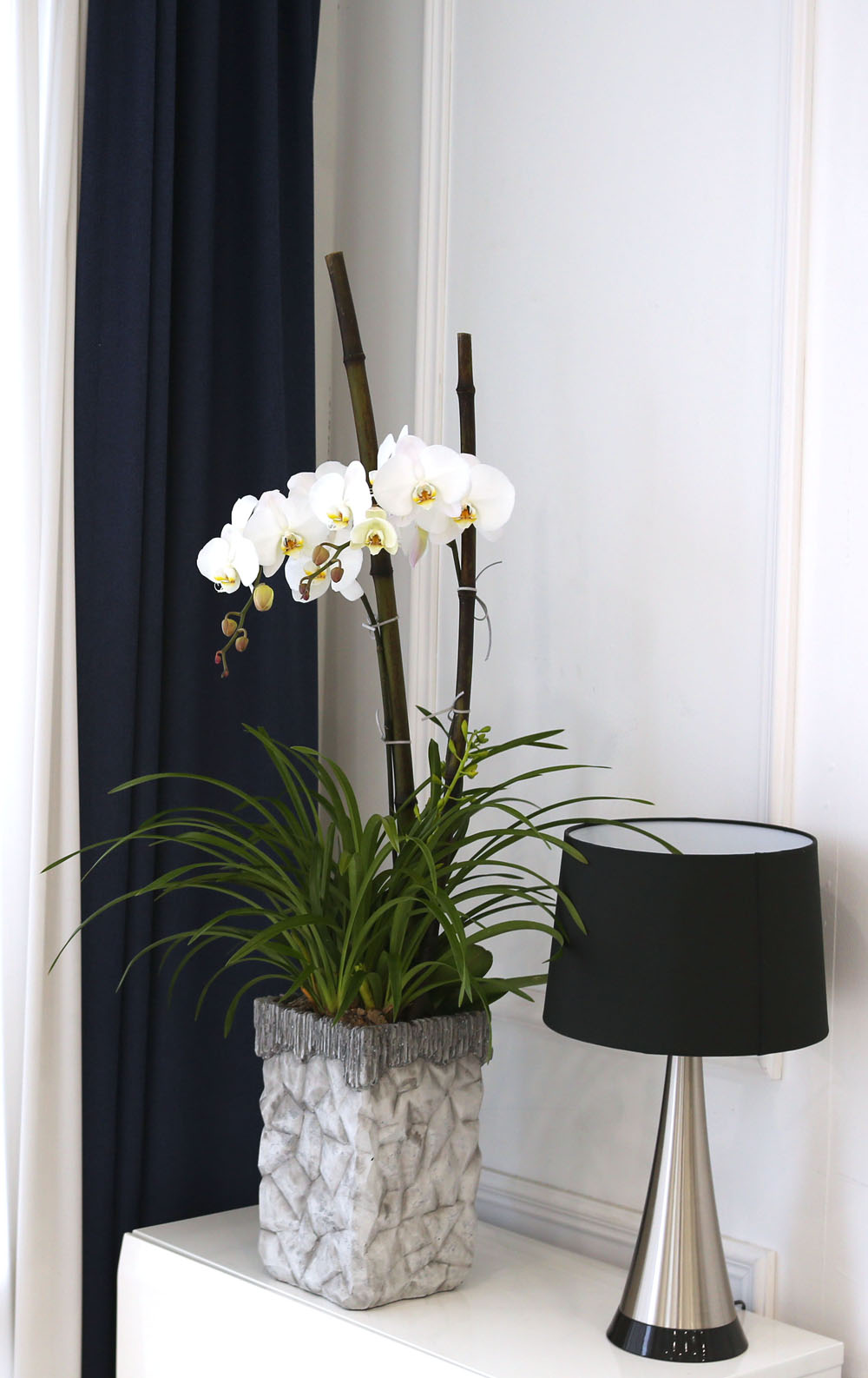 Living with flowers everyday - Newyork style Orchid ½ºÇÁ¸µÆÄ·ç¿Í ÈÀÌÆ®È£Á¢