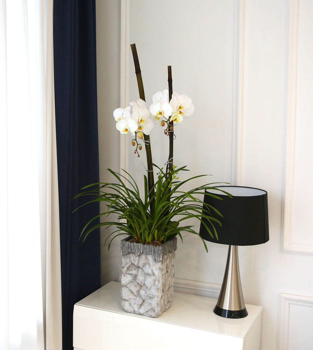 Living with flowers everyday - Newyork style Orchid ½ºÇÁ¸µÆÄ·ç¿Í ÈÀÌÆ®È£Á¢