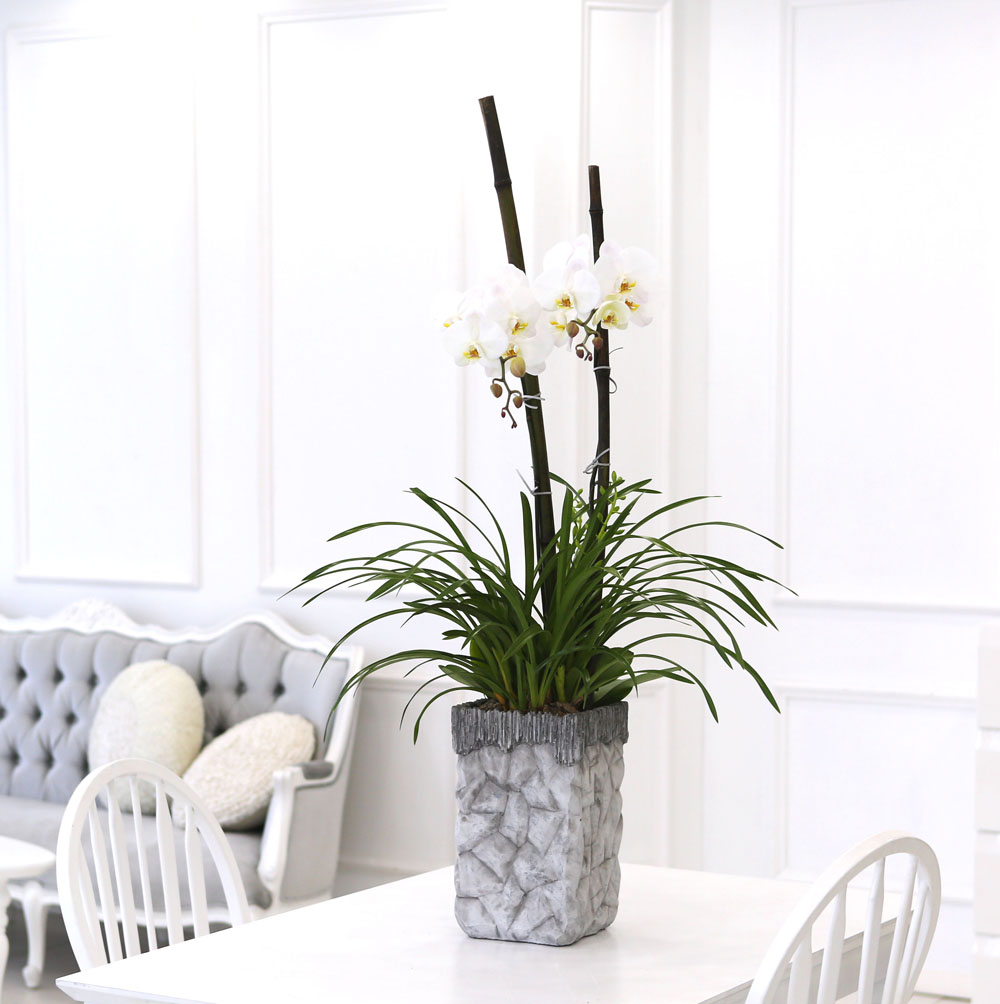 Living with flowers everyday - Newyork style Orchid ½ºÇÁ¸µÆÄ·ç¿Í ÈÀÌÆ®È£Á¢
