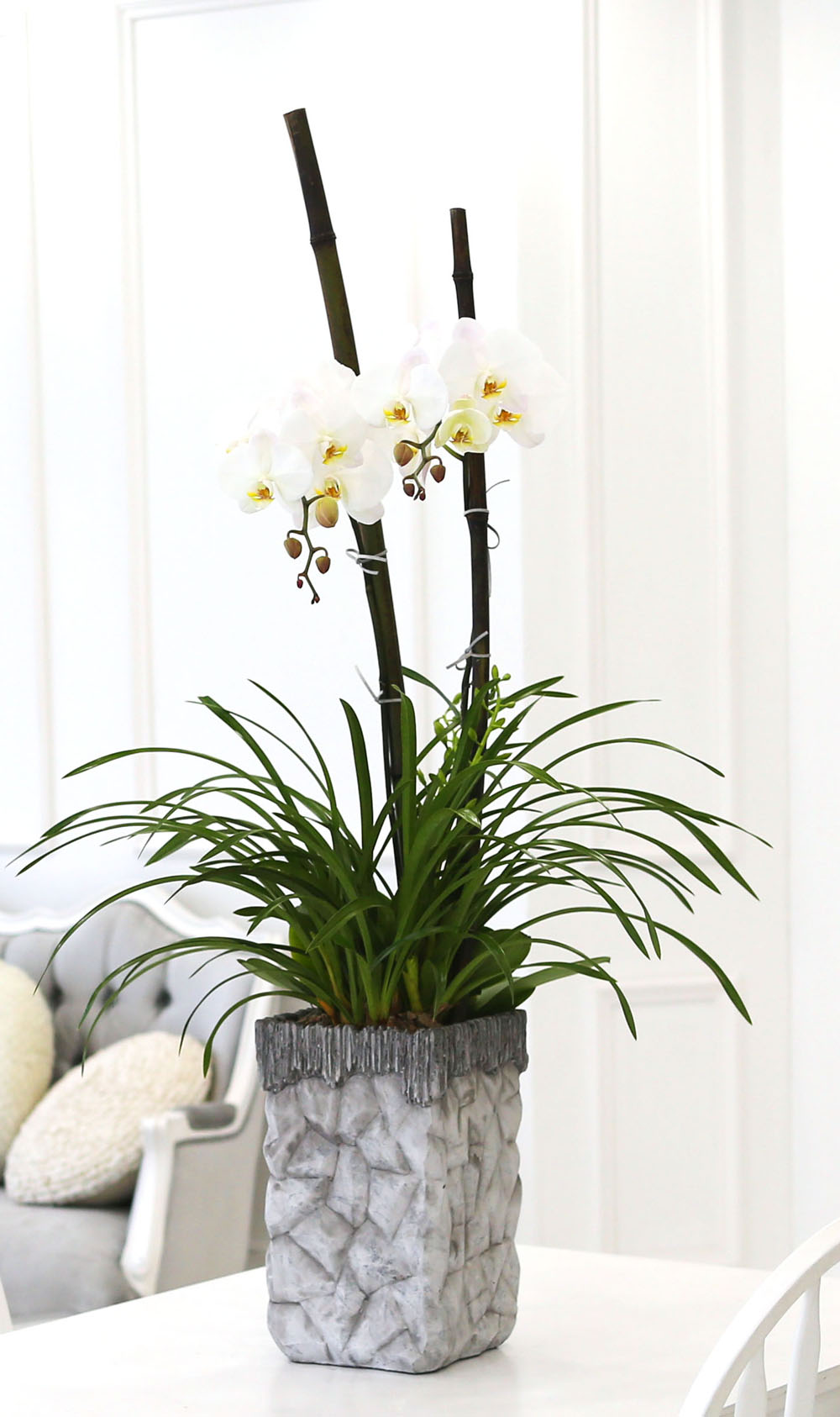Living with flowers everyday - Newyork style Orchid ½ºÇÁ¸µÆÄ·ç¿Í ÈÀÌÆ®È£Á¢