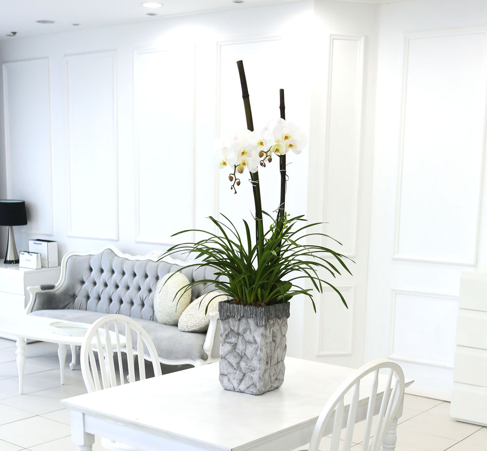 Living with flowers everyday - Newyork style Orchid ½ºÇÁ¸µÆÄ·ç¿Í ÈÀÌÆ®È£Á¢