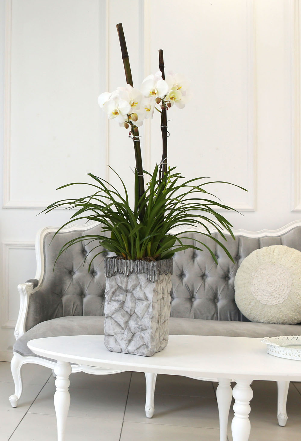 Living with flowers everyday - Newyork style Orchid ½ºÇÁ¸µÆÄ·ç¿Í ÈÀÌÆ®È£Á¢
