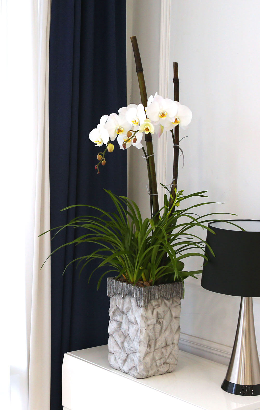 Living with flowers everyday - Newyork style Orchid ½ºÇÁ¸µÆÄ·ç¿Í ÈÀÌÆ®È£Á¢