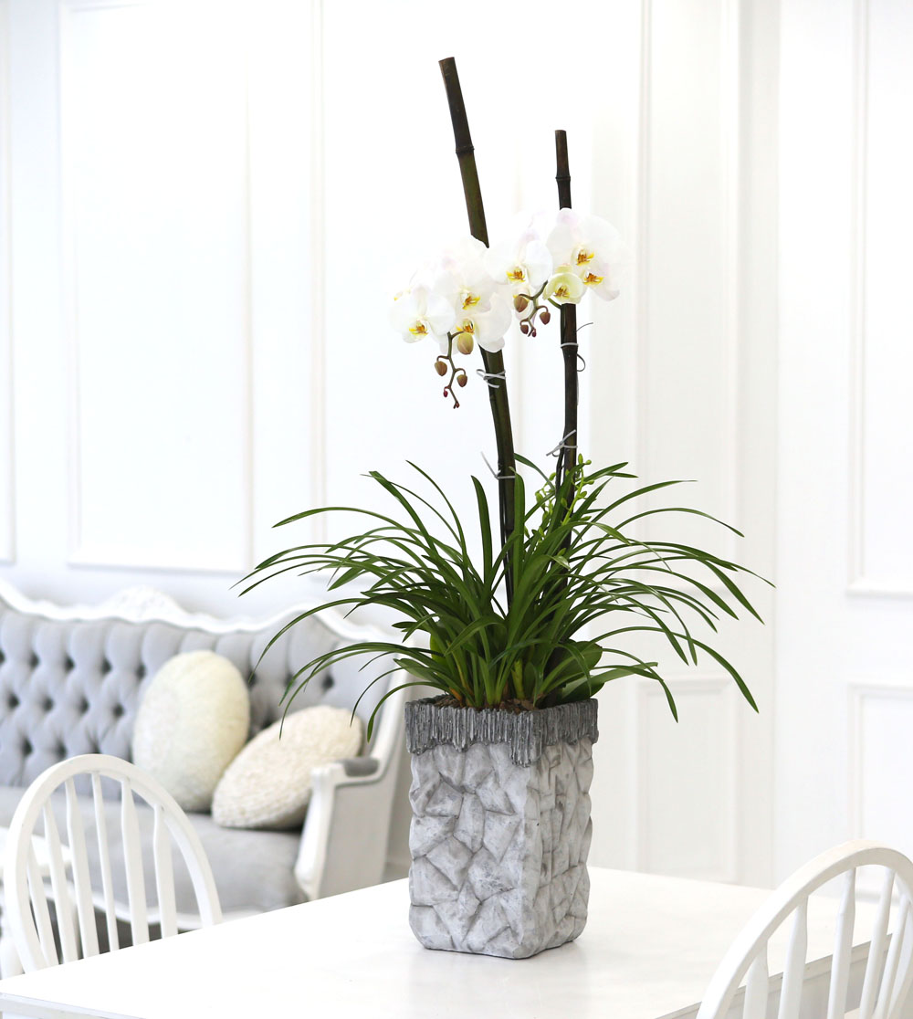 Living with flowers everyday - Newyork style Orchid ½ºÇÁ¸µÆÄ·ç¿Í ÈÀÌÆ®È£Á¢