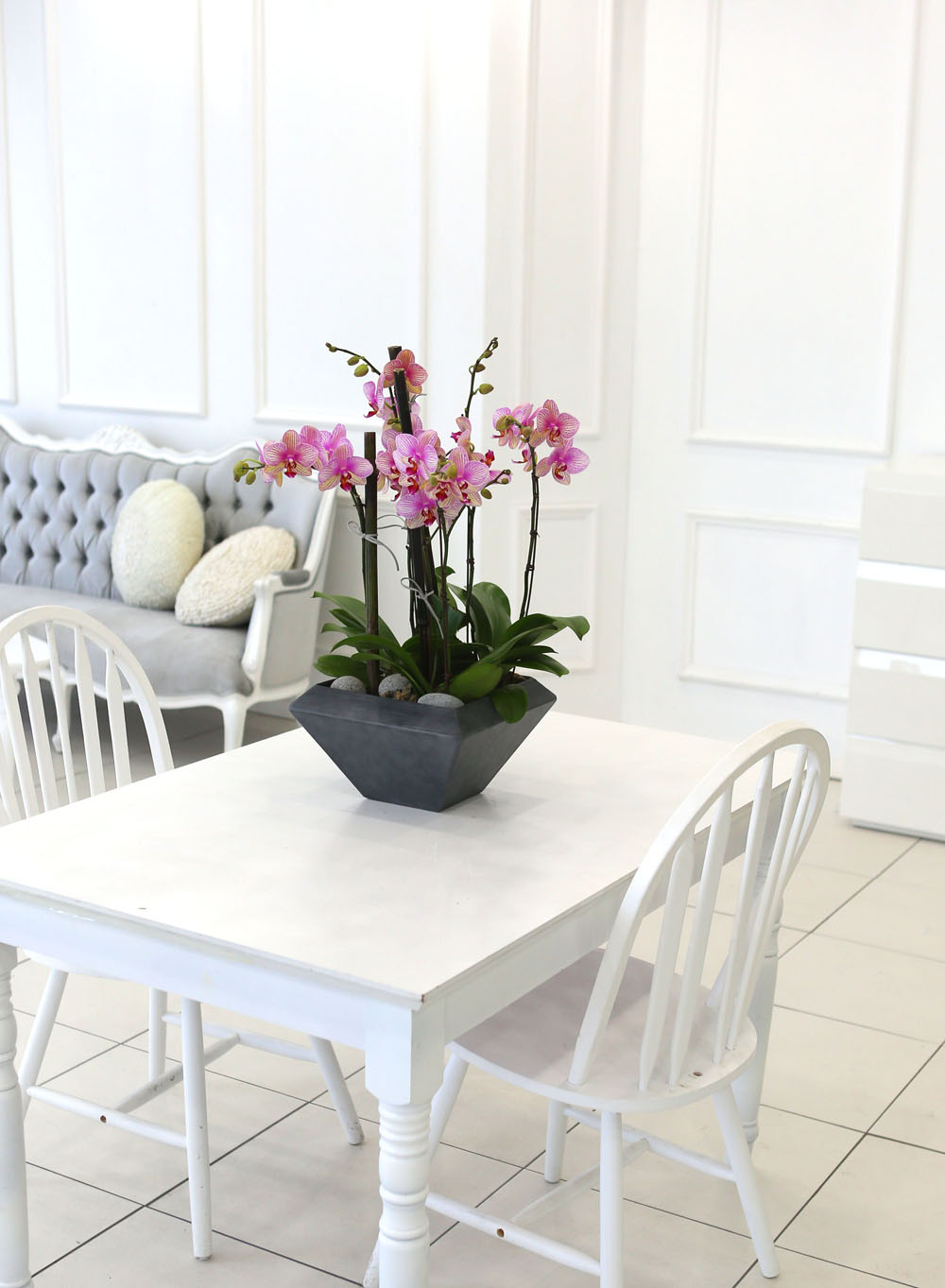 Living with flowers everyday - Newyork style Orchid ޸  ɹ