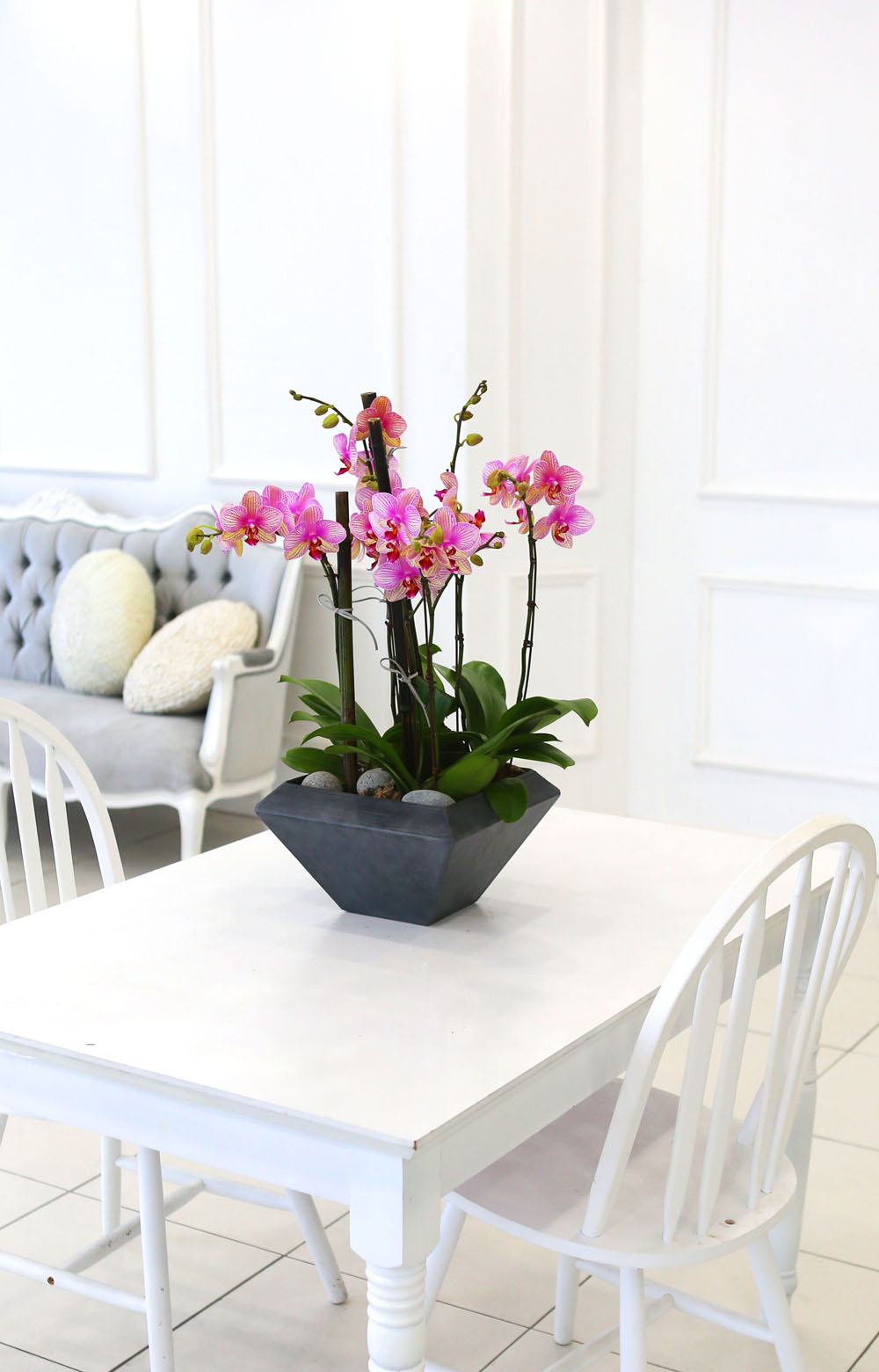 Living with flowers everyday - Newyork style Orchid ޸  ɹ