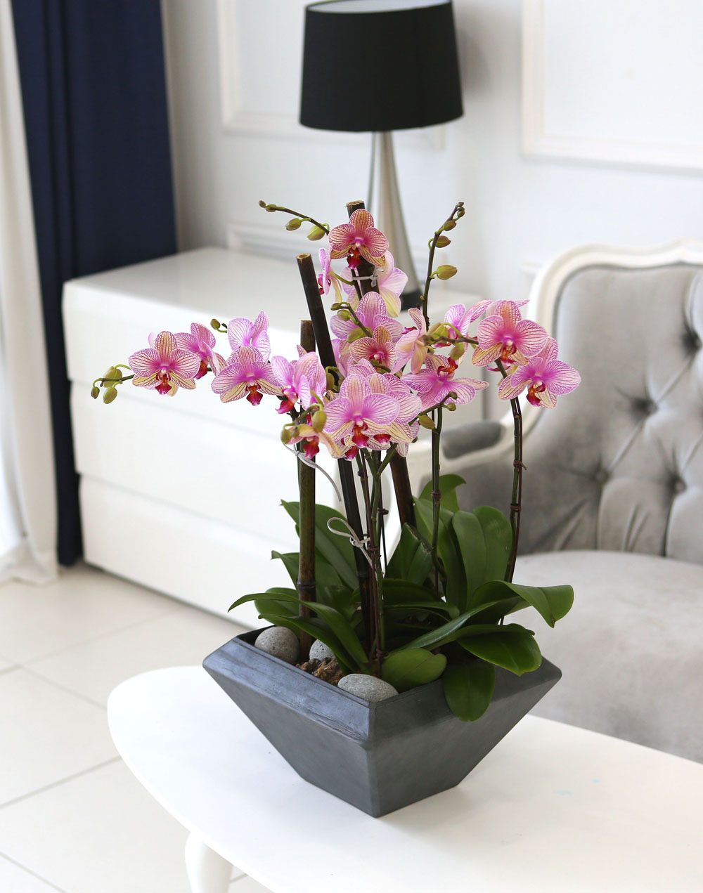 Living with flowers everyday - Newyork style Orchid ޸  ɹ