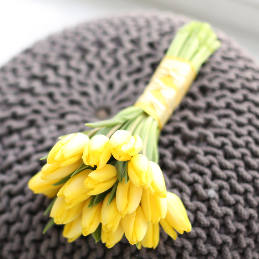 Spring&Sweet  - 16   ɹ