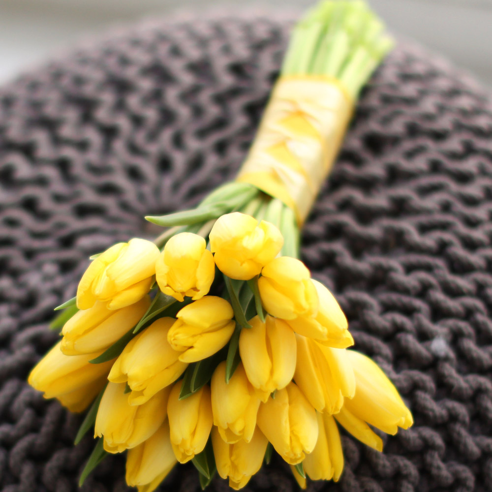 Spring&Sweet  - 16   ɹ