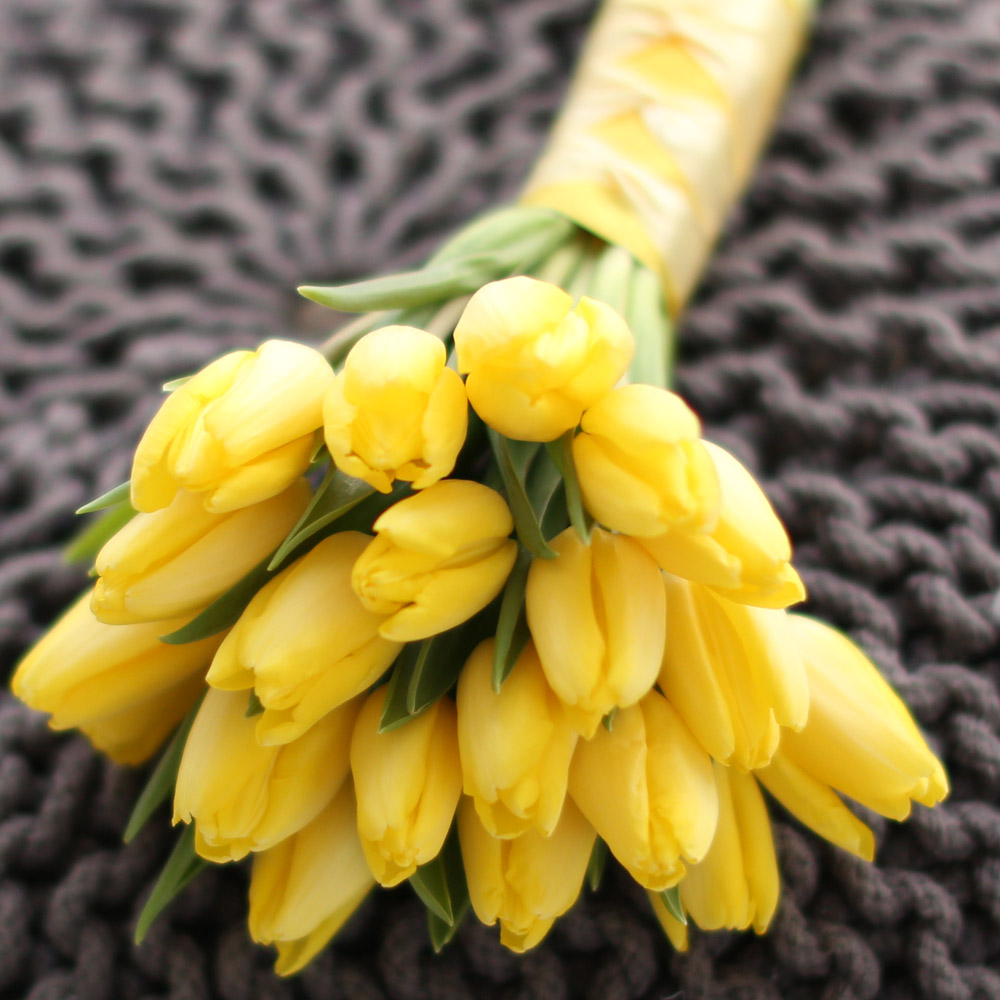 Spring&Sweet  - 16   ɹ