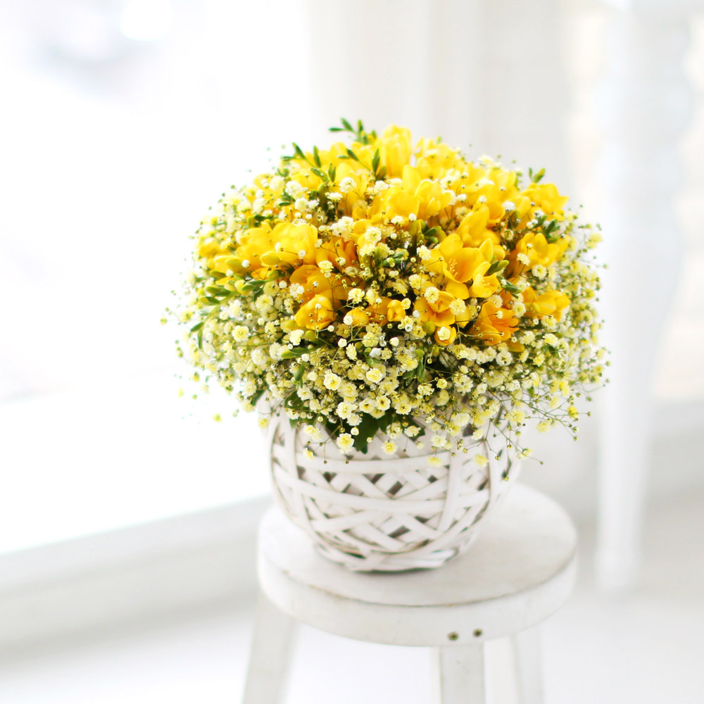 spring&sweet - Angel yellow (ٱ ǰη ٸ ٱϷ ü˴ϴ)  ɹ