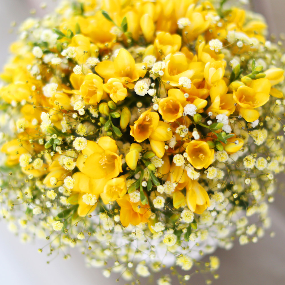 spring&sweet - Angel yellow (ٱ ǰη ٸ ٱϷ ü˴ϴ)  ɹ