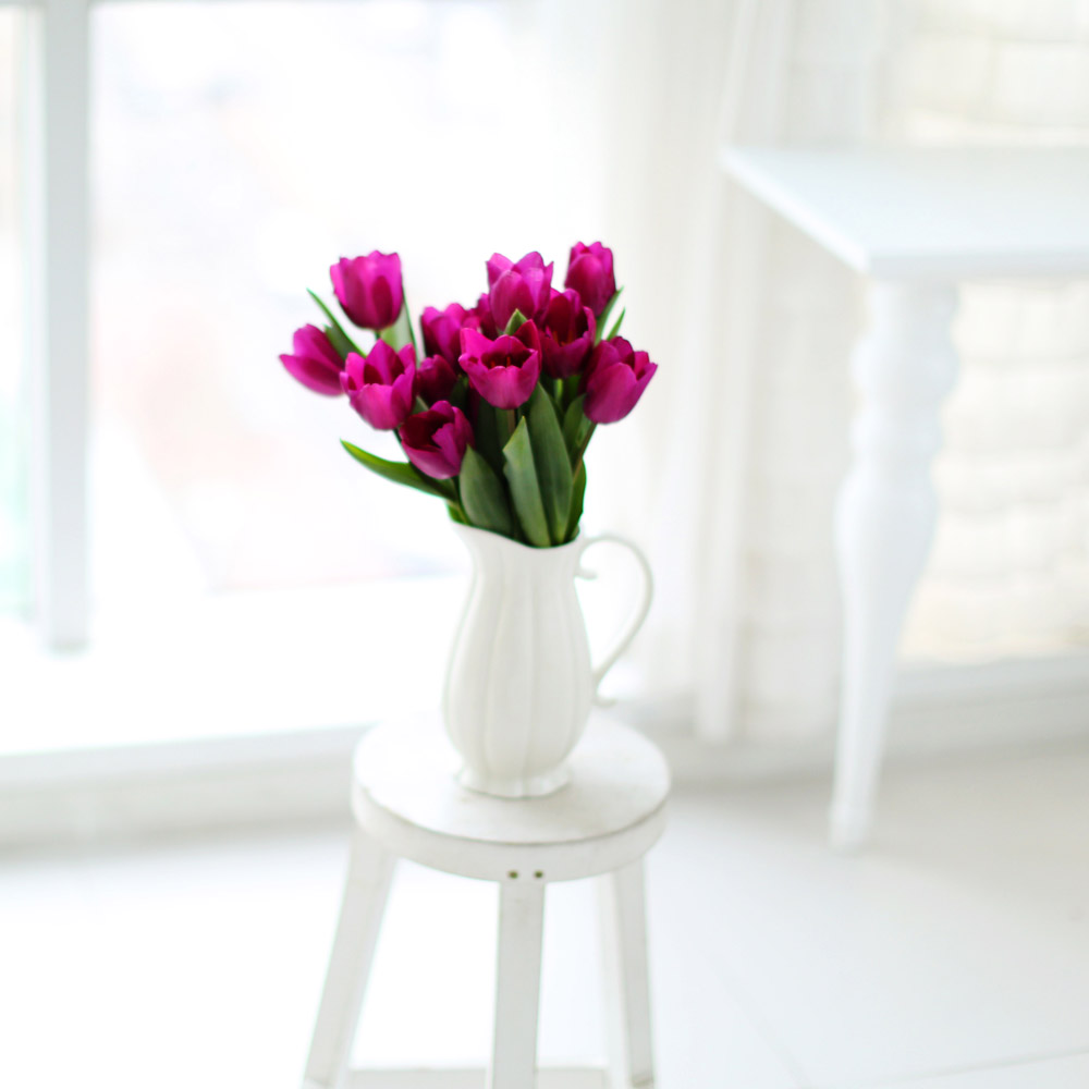 Spring&Sweet  - oh my tulip