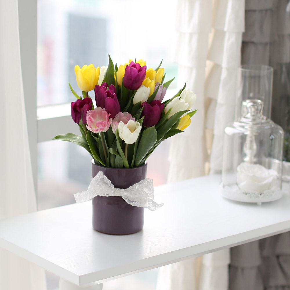 Spring&Sweet  - coloful tulip ���� �ɹ��