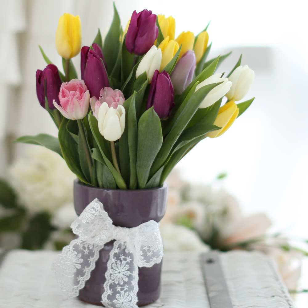 Spring&Sweet  - coloful tulip ���� �ɹ��