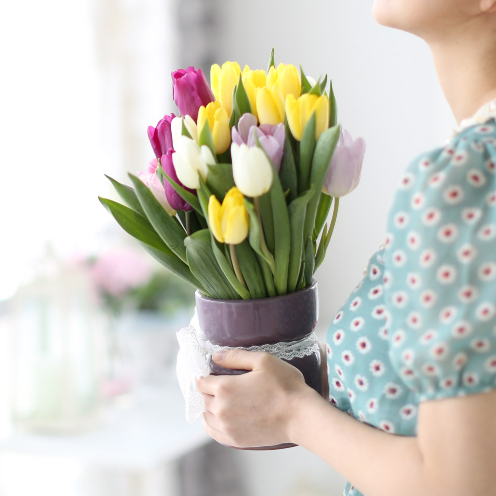 Spring&Sweet  - coloful tulip ���� �ɹ��
