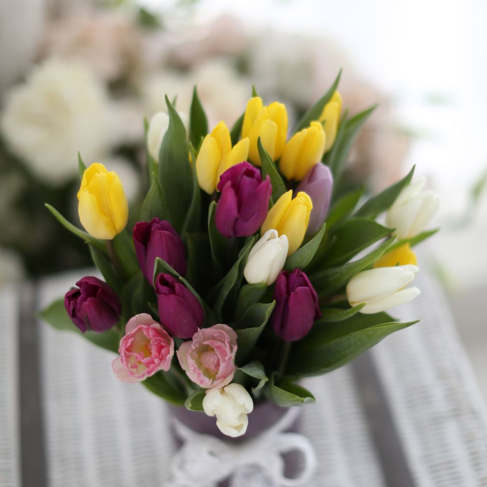 Spring&Sweet  - coloful tulip ���� �ɹ��