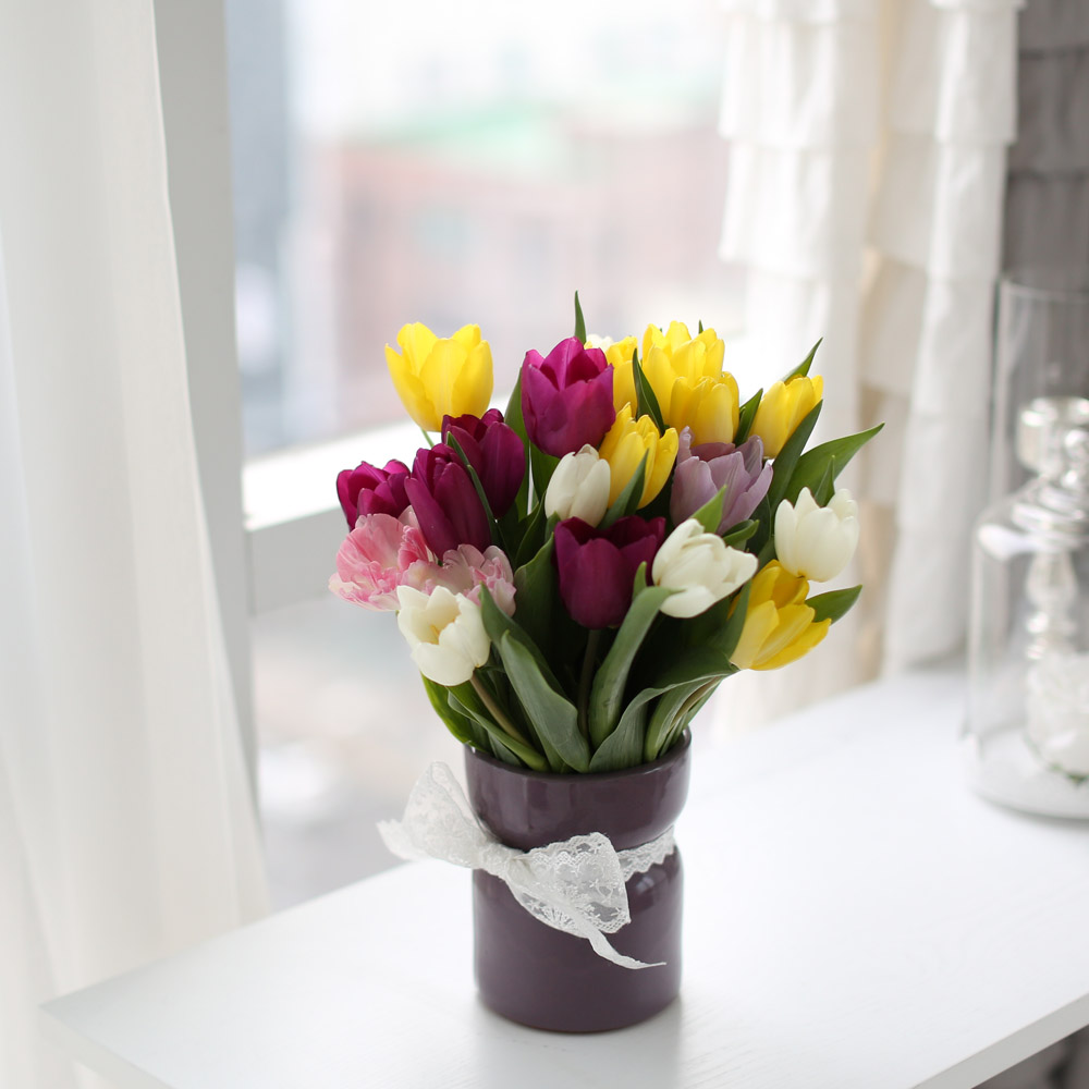 Spring&Sweet  - coloful tulip ���� �ɹ��