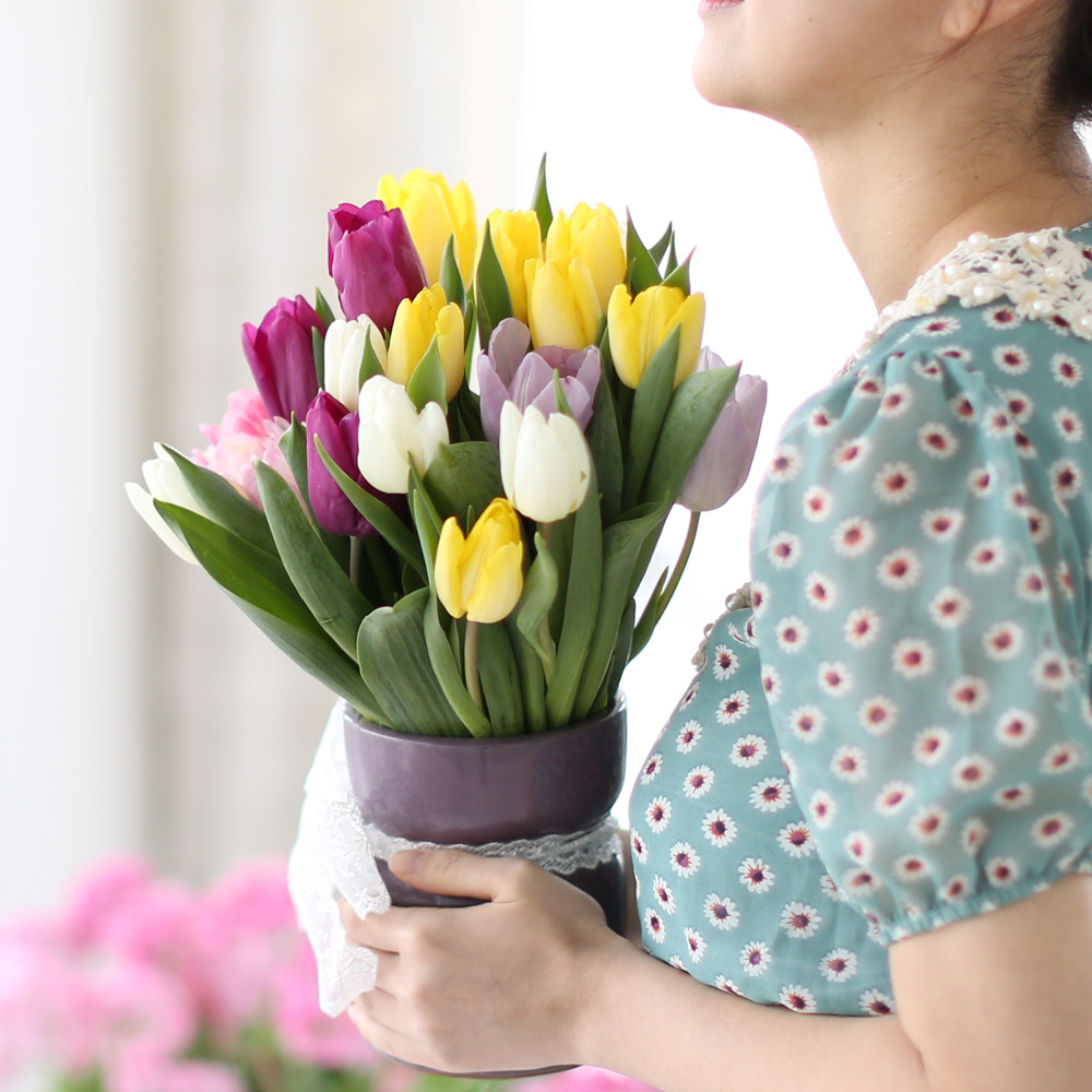 Spring&Sweet  - coloful tulip ���� �ɹ��