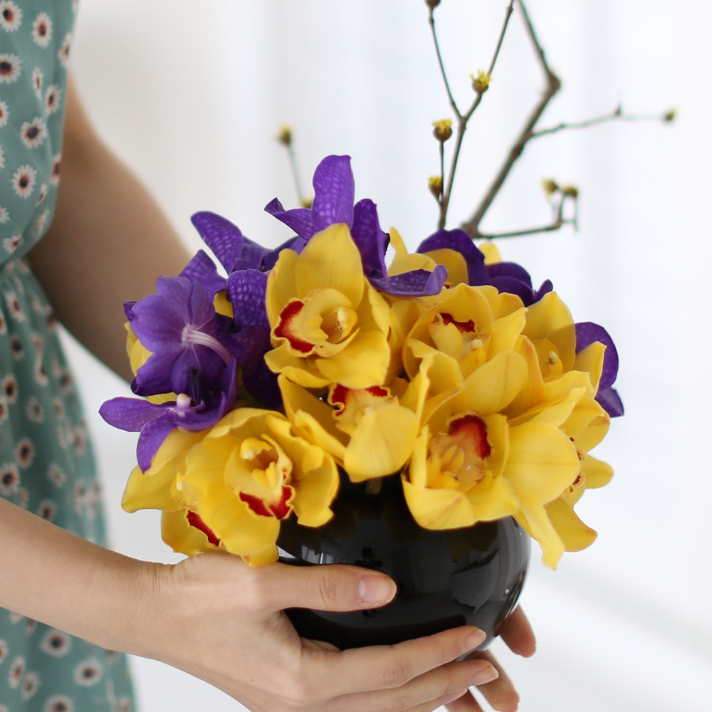 spring&sweet - yellow & puple  ɹ