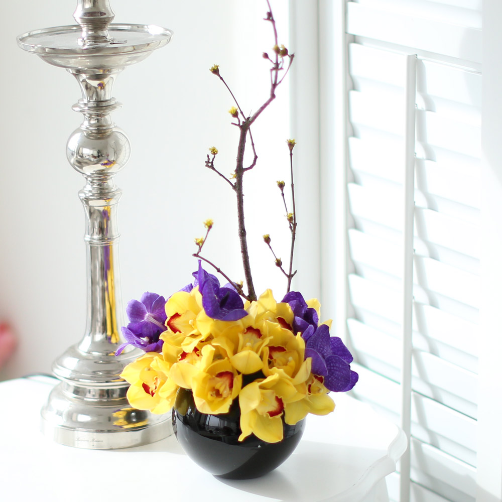 spring&sweet - yellow & puple  ɹ